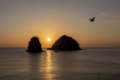 Silhouette birds flying over sea against sky during sunset