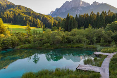 Scenic view of lake and trees against sky