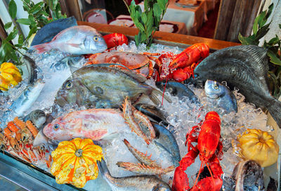 Close-up of fish for sale in market