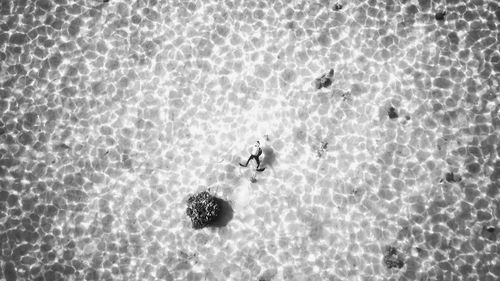 High angle view of swimming in pool