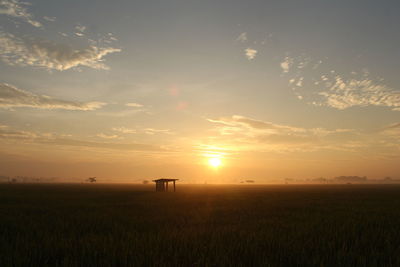 Scenic view of field against sky during sunset