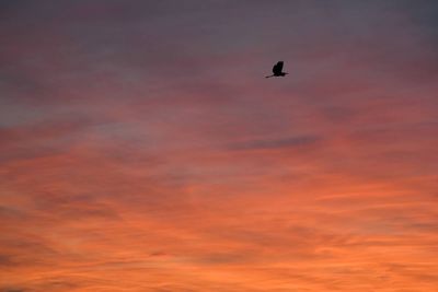 Low angle view of cloudy sky at sunset