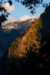 Scenic view of trees and mountains against sky