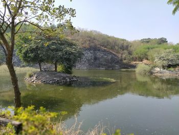 Scenic view of lake against trees in forest