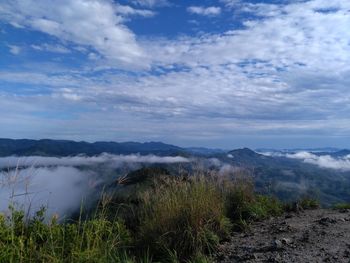 Scenic view of landscape against sky