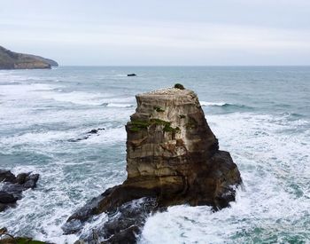 Rock formation at muriwai beach , new zealand