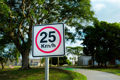 Twenty-five kilometers per hour traffic signal in a bike route