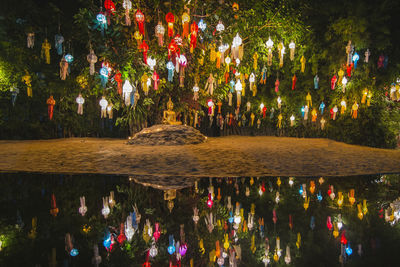 Illuminated trees at night