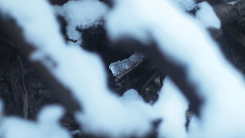 Close-up of snow