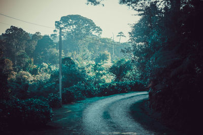 Road amidst trees against sky