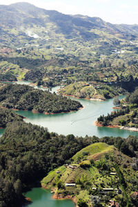 High angle view of river amidst trees