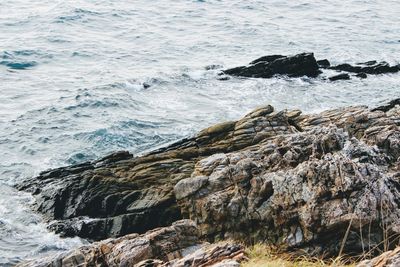 Scenic view of rocky beach