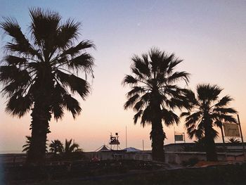 Low angle view of silhouette palm trees against sky