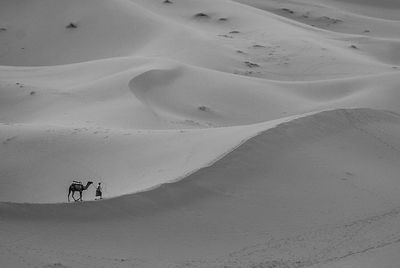 Scenic view of snow covered desert