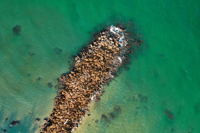 Drone view of groyne in sea