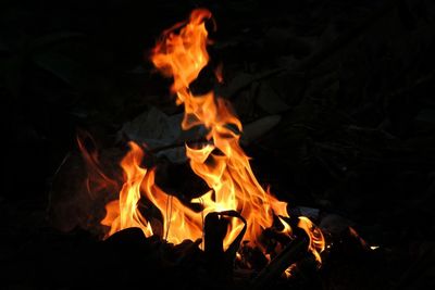 Close-up of bonfire at night