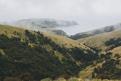 Braided rivers from little akaloa bay, banks peninsula, new zealand