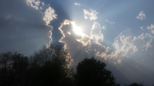 Low angle view of trees against sky