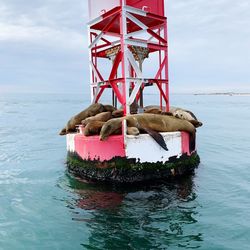 Lifeguard hut on sea against sky