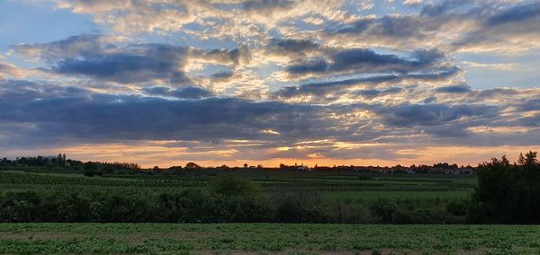 Scenic view of field against sky during sunset