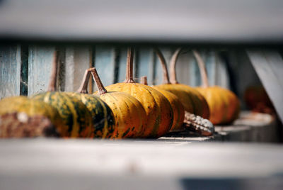 Close-up of pumpkins on table