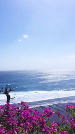 Scenic view of sea against blue sky