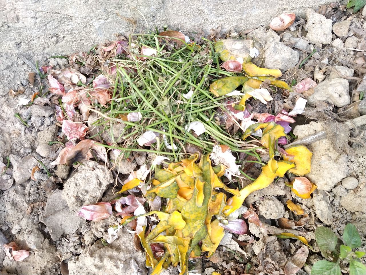HIGH ANGLE VIEW OF YELLOW FLOWERING PLANTS ON GARBAGE
