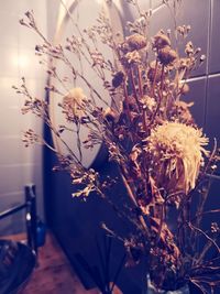 Close-up of wilted flower plant at home