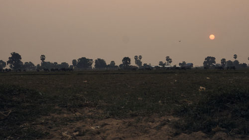 Scenic view of field against clear sky at sunset