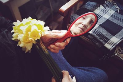 Cropped hand holding flower