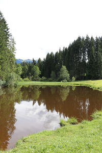 Scenic view of lake in forest against sky
