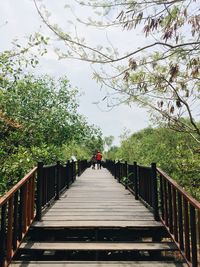 Rear view of friends walking on footbridge amidst trees against sky