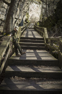 Low angle view of steps and trees in forest