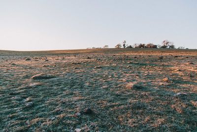 Scenic view of land against clear sky