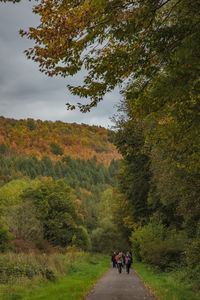 People walking on footpath by road against sky during autumn