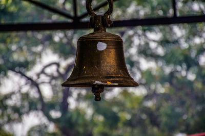 Low angle view of electric lamp hanging on branch