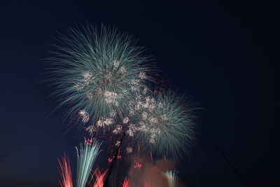 Low angle view of firework display at night