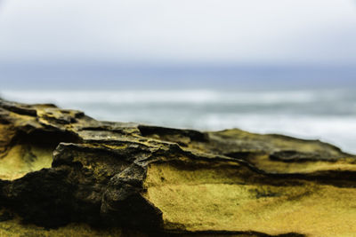 Close-up of rocks on beach against sky