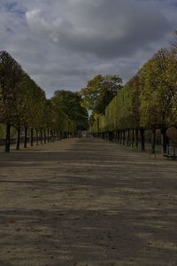 View of trees against sky