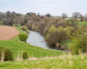 Scenic view of river amidst field against clear sky