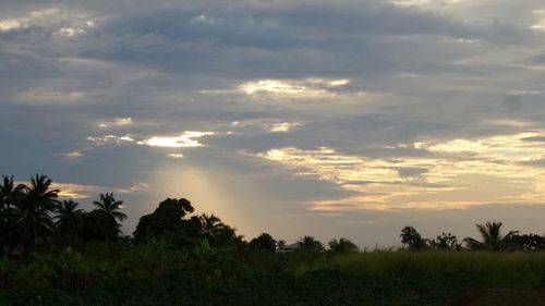 Scenic view of landscape against cloudy sky