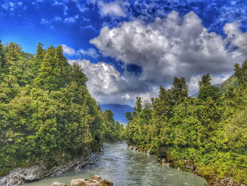 Scenic view of forest against sky