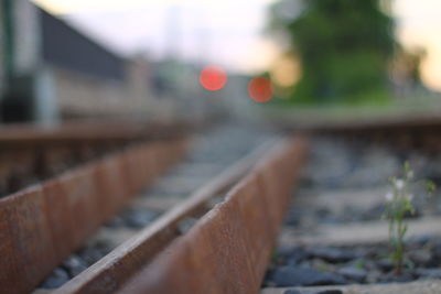 Close-up of blurred background