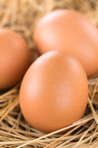 Close-up of eggs in basket