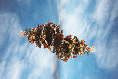 Low angle view of flower tree against sky