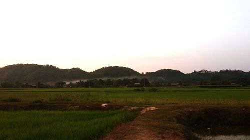 Scenic view of landscape