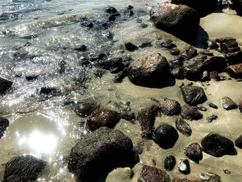 Close-up of water on beach