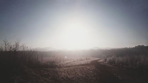 Scenic view of field against clear sky