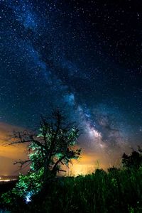 Low angle view of stars in sky