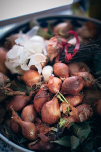 High angle view of shallots in container